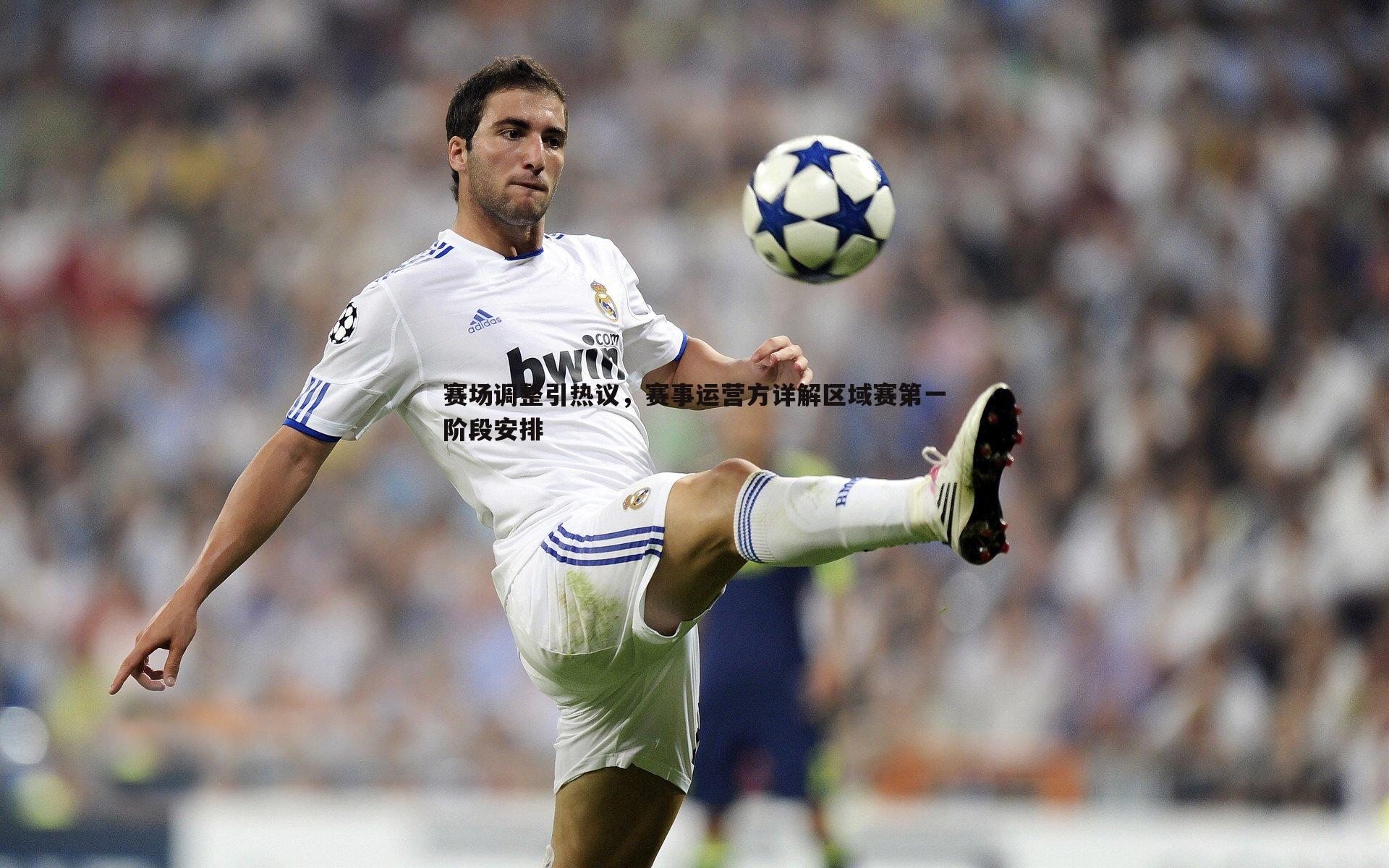 赛场调整引热议,赛事运营方详解区域赛第一阶段安排